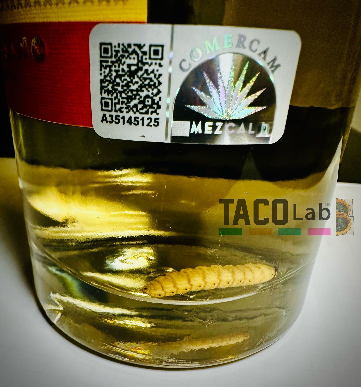 Mezcal Gusano rojo [mit Wurm] - 70 cl